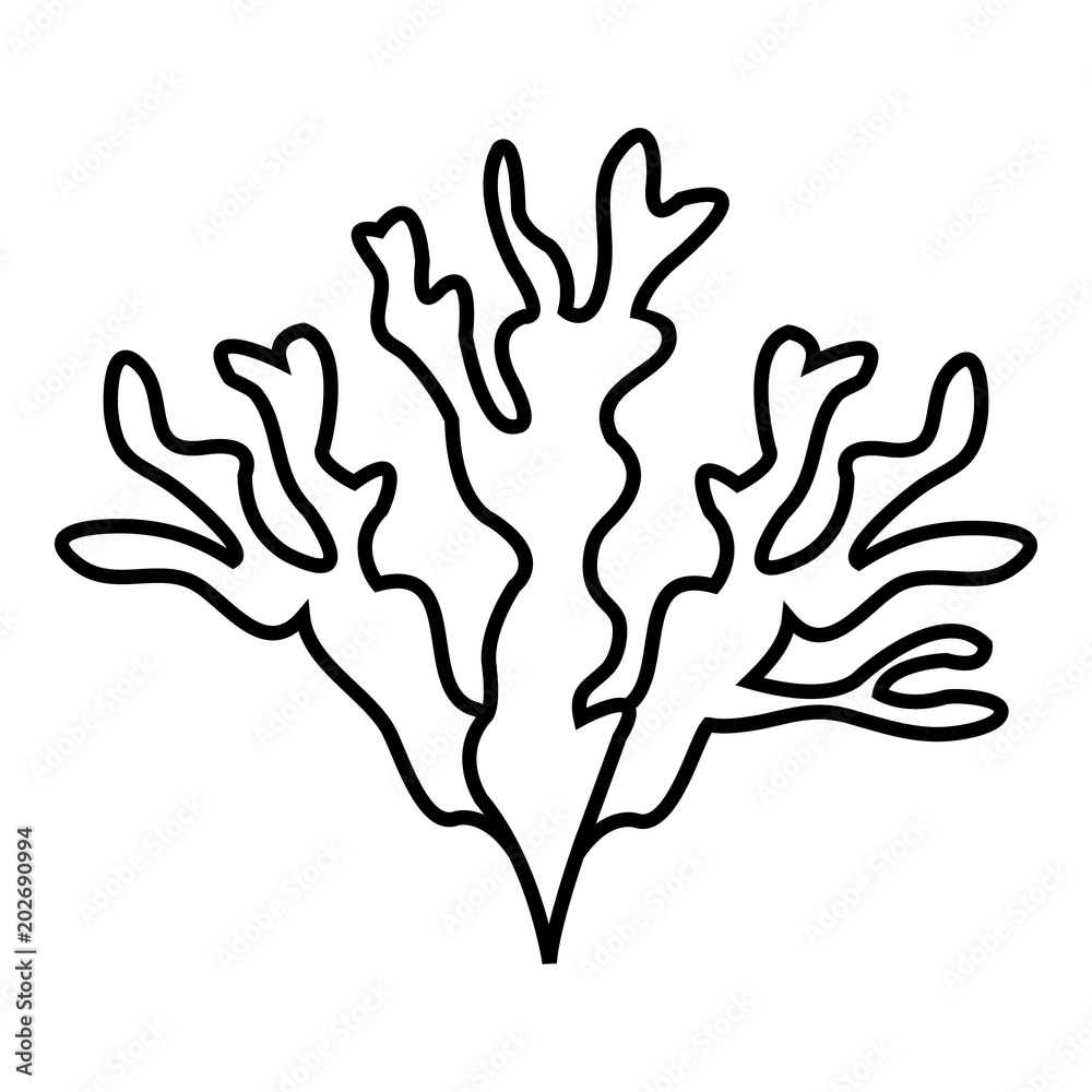 Seaweed icon. Outline illustration of seaweed vector icon for web Seaweed icon. Outline illustration of seaweed vector icon for web
