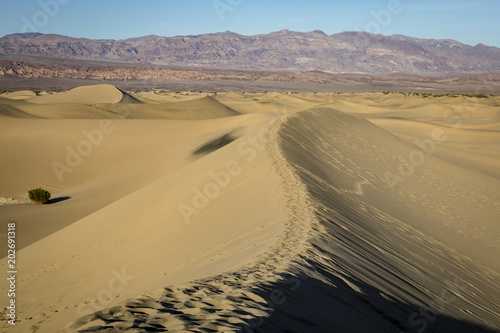 view of the mesquite sand dunes in death valley national park near sunset with footprints in the sand