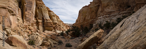 viewpoint of capitol reef national park in utah in the spring time with clear blue skies  rock outcrops  canyons  narrows and juniper trees