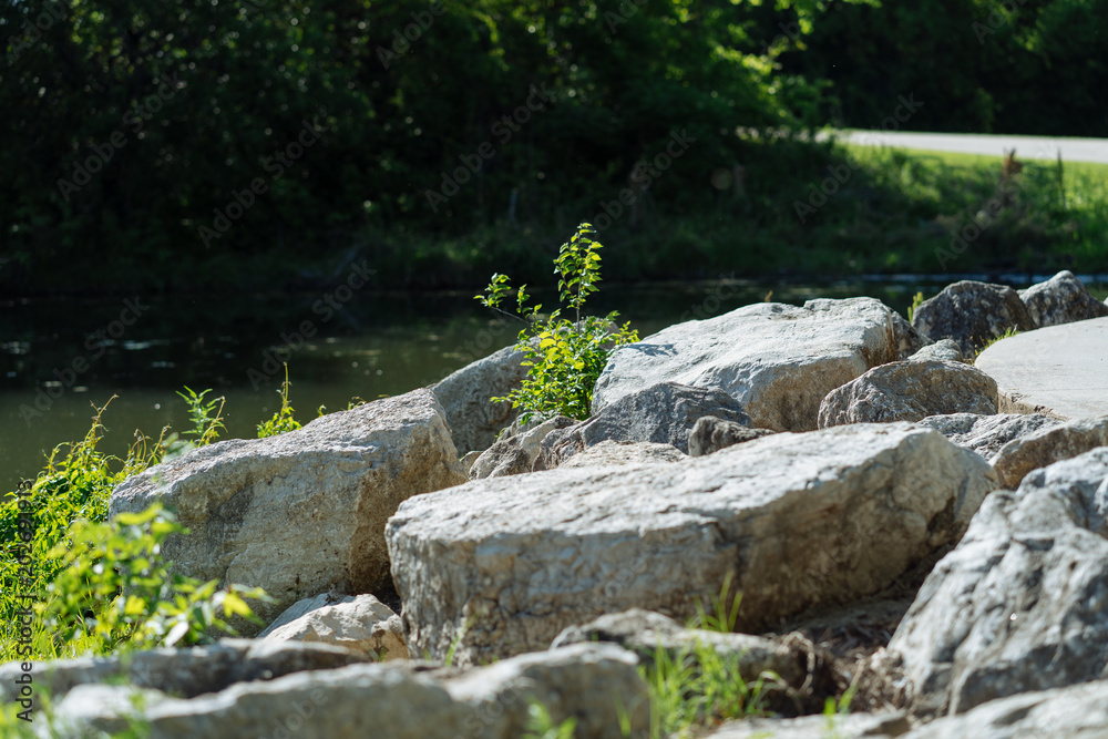 Stones on the shore of the forest lake on a sunny spring day in Texas Stones on the shore of the forest lake on a sunny spring day in Texas