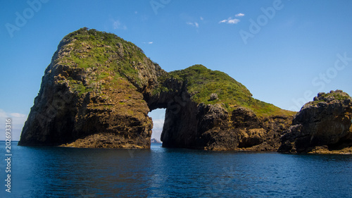 Meer, Sommer, Tauchen, Urlaub, Neusseland © Stefano Pepperino