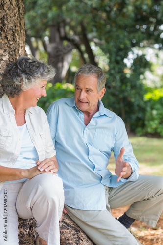 Smiling mature couple talking together by a tree