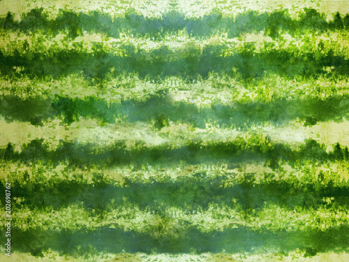 Striped crust of watermelon, background, texture