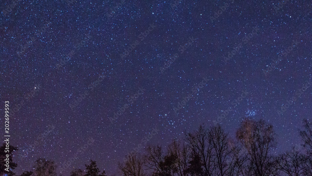 Fototapeta premium Night starry sky with milky way