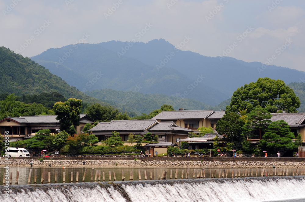 Naklejka premium Ōi River-1