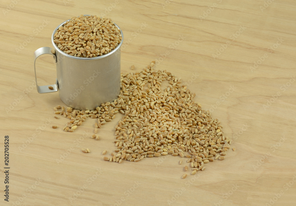 Φωτογραφία Rinsed dry raw rye berries in vintage retro measuring cup and spilled on table