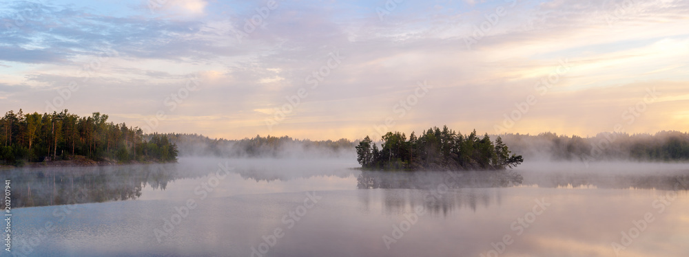 forest lake with a fog