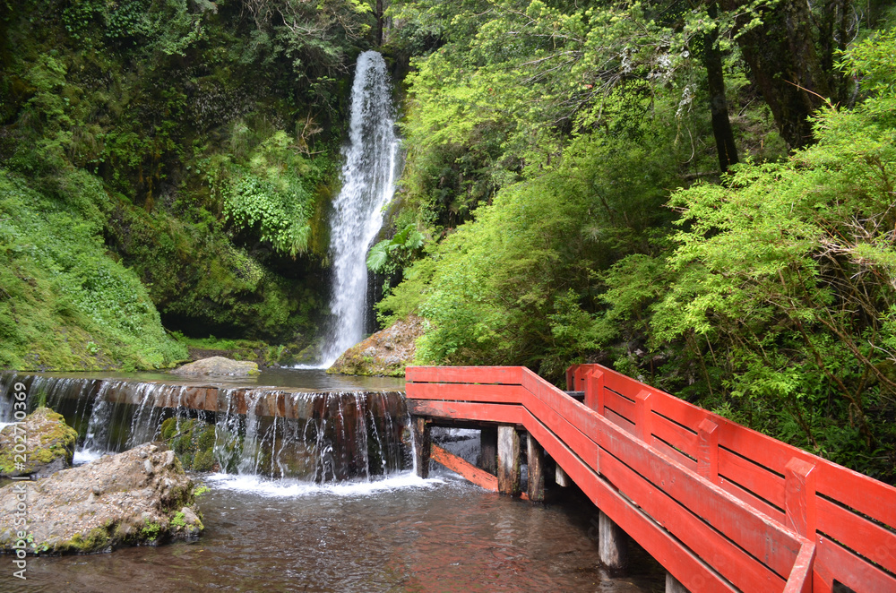 Φωτογραφία Natural hot springs of Termas Geometricas, Panguipulli, Los Ríos Region, Chile