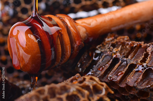 aroma of the fresh honey presented by the nature photo
