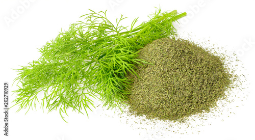 dried dill weed and fresh dill weed isolated on white