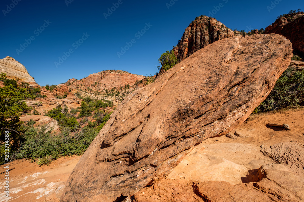 Fototapeta premium Landscape in Zion National Park