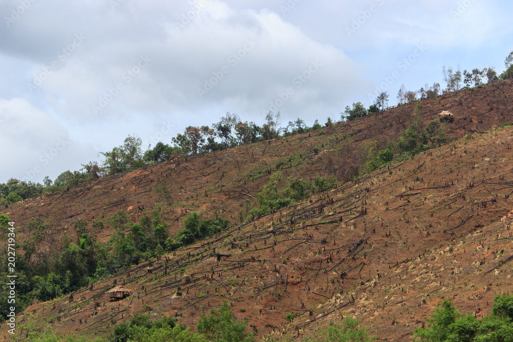 deforested area laos deforested area laos