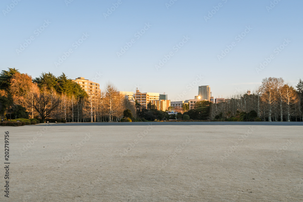 Fototapeta premium 都会の冬の公園と青空２
