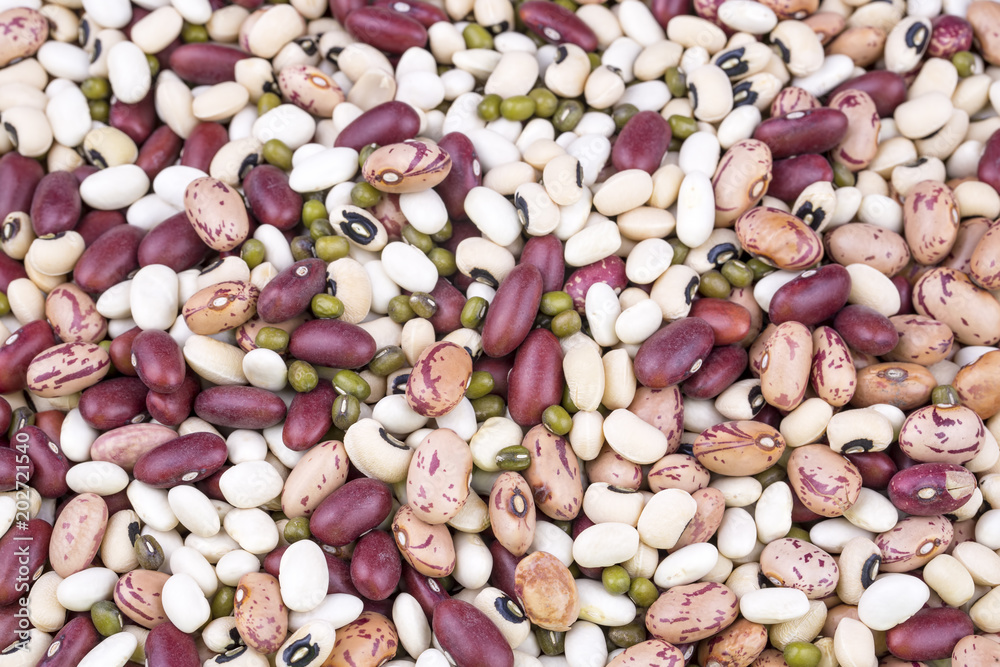 Dried foods; mixed legumes Dried foods; mixed legumes