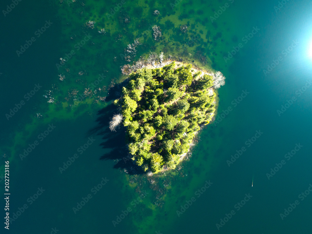 Obraz premium Pacific Northwest Evergreen Tree Island From Above Calm Water