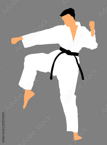 Karate man fighter in kimono, vector illustration. Black belt category. Karate man vector silhouette.