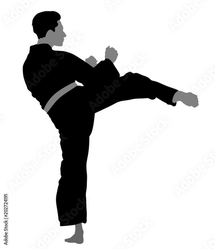 Karate man fighter in kimono, vector illustration. Black belt category. Karate man vector silhouette.