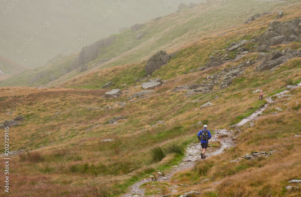 NORTH WEST, ENGLAND, UK - AUGUST 12, 2017: A fell runner running along a narrow trail on an overcast day in the mountains.