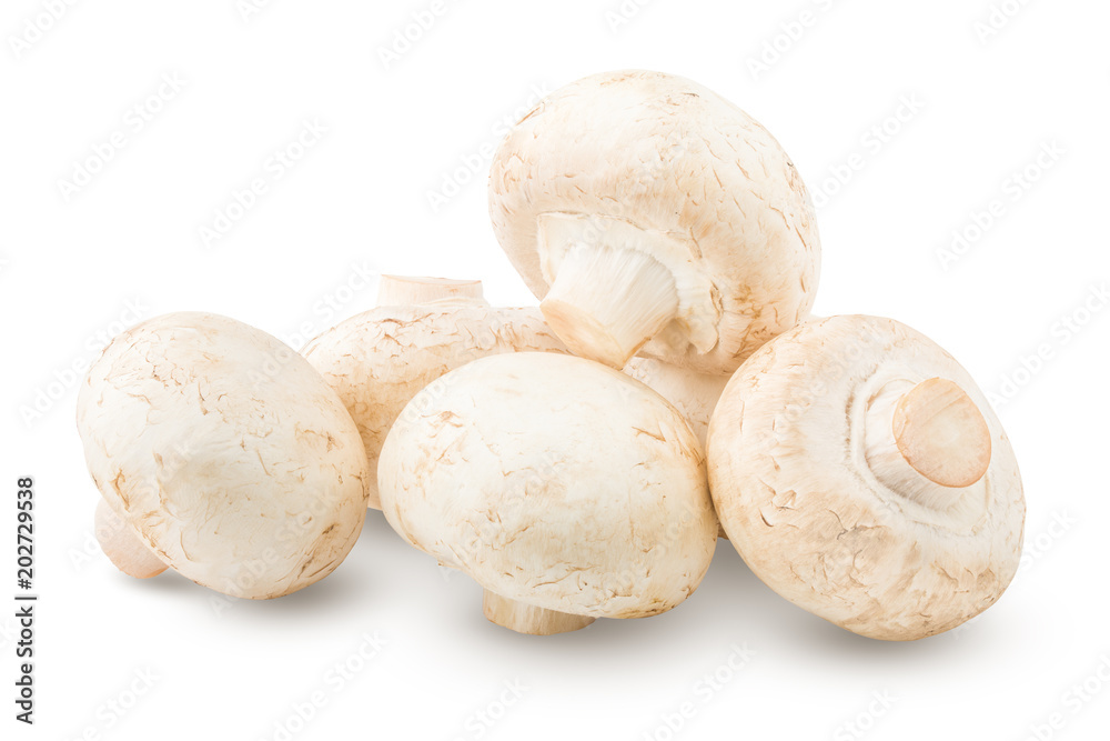 mushroom, champignon, isolated on white background, clipping path, full depth of field mushroom, champignon, isolated on white background, clipping path, full depth of field