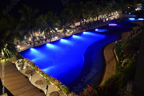 The swimming pool at night with blue water color and coconut tree is a component.