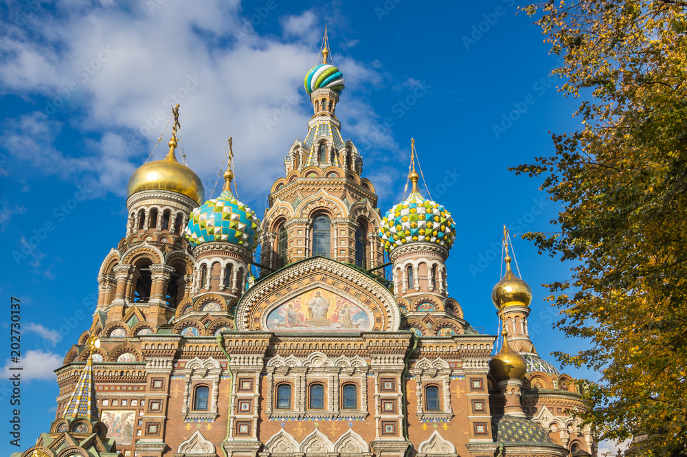 Church of the Savior on Spilled Blood