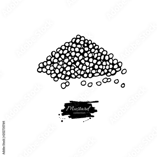 Musrard seed heap vector drawing. Hand drawn seasoning pile. Food condiment, dijon ingredient