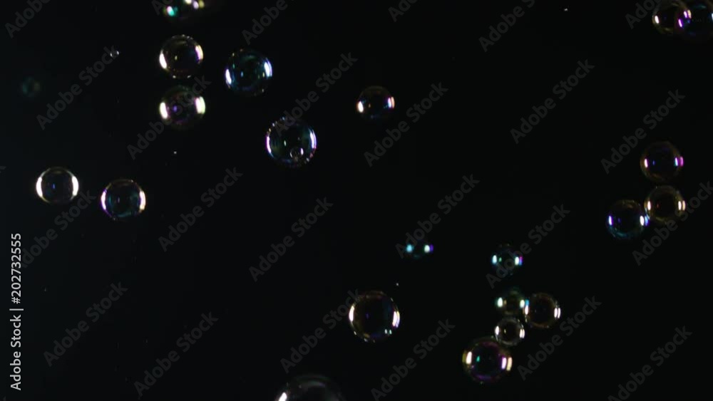 Soap Bubbles Isolated on Black Background