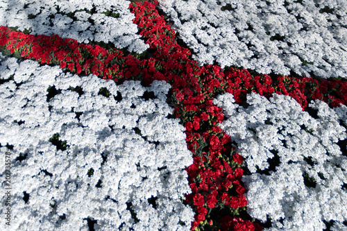 saint george flag red cross on white made of flowers photo