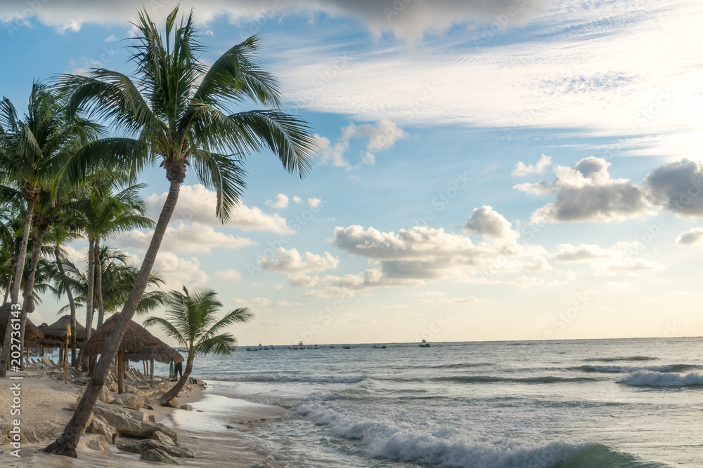 Tranquil exotic shoreline in daylight