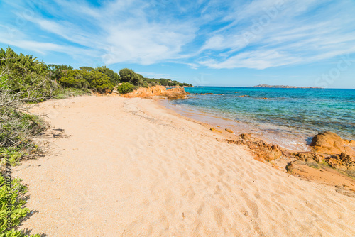 Fototapeta Naklejka Na Ścianę i Meble -  Sandy shore in Romazzino beach in