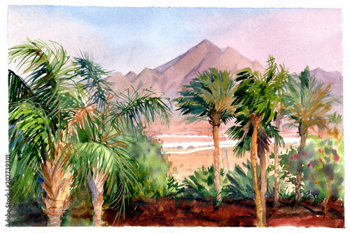 Obraz na płótnie Tropikalny krajobraz z palmami i górami. Oaza na pustyni.