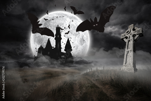 Bats flying from draculas castle