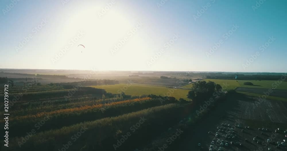 parapente volando sobre plantas y autos
