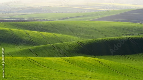 Moravian Tuscany – beautiful spring landscape in south Moravia near Kyjov town. Czech Republic - Europe. © montypeter