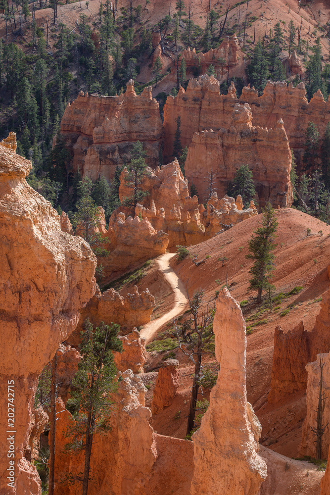 Landscape of Bryce canyon National Park, Utah, USA Landscape of Bryce canyon National Park, Utah, USA