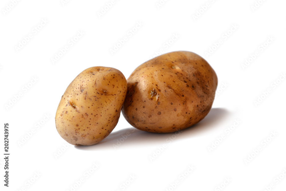 Two potato tubers on a white background. Potatoes close-up. Two potato tubers on a white background. Potatoes close-up.