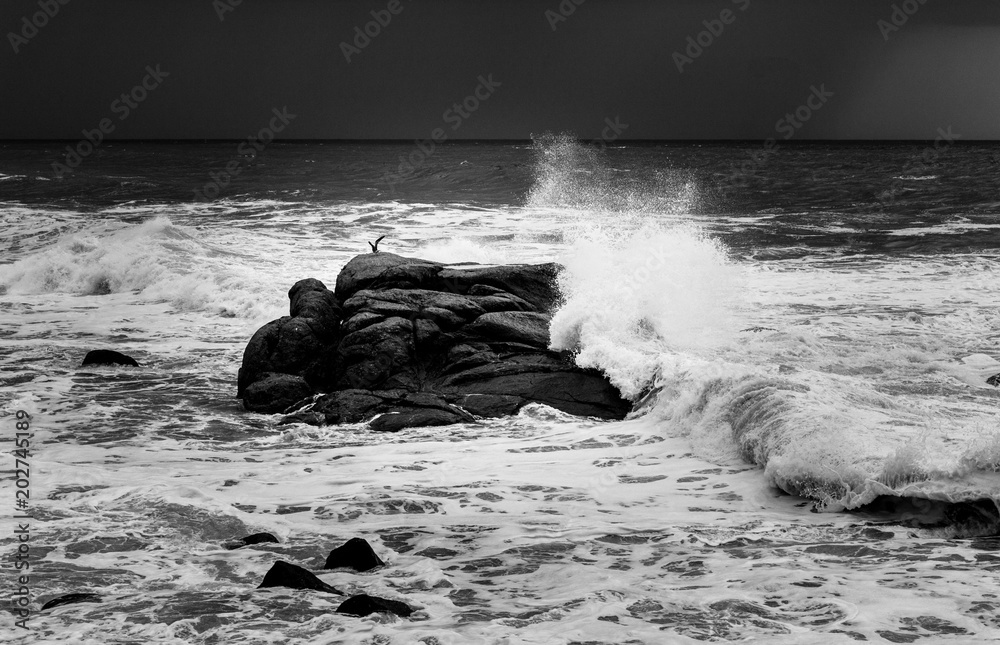 Waves Crashing in Rock