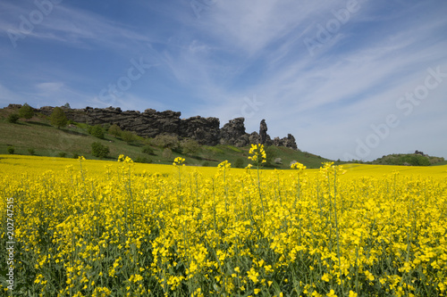 Teufelsmauer 