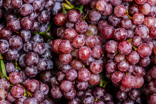 bunch of fresh grapes red color with water drop