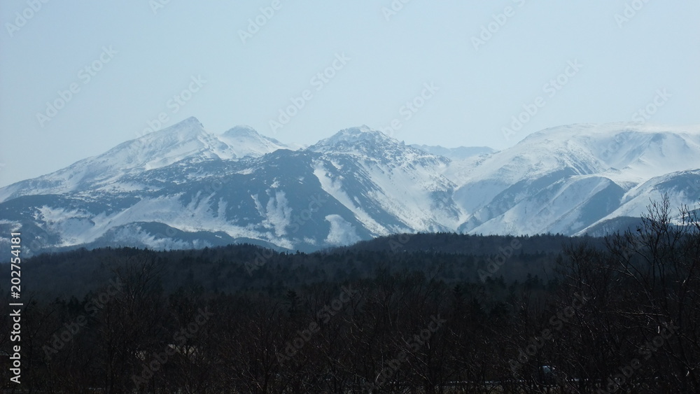 Fototapeta premium 北海道知床