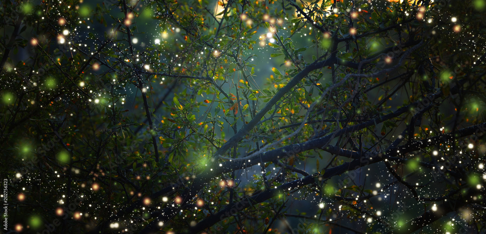 Naklejka premium Abstrakcjonistyczny i magiczny wizerunek Firefly lata w noc lesie. Koncepcja bajki.
