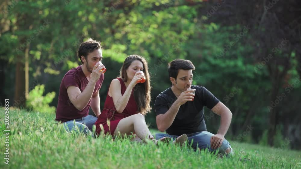 Three students sitting on the lawn toasting- Happiness,spring,joy Three students sitting on the lawn toasting- Happiness,spring,joy