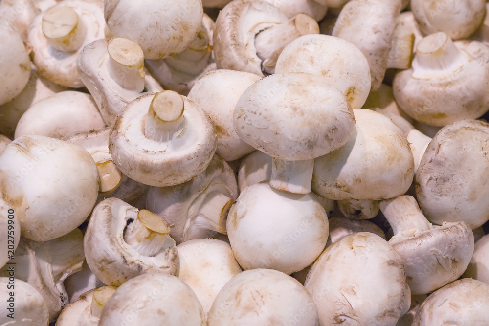 Champignon mushrooms on the counter in the supermarket (background, texture) Champignon mushrooms on the counter in the supermarket (background, texture)