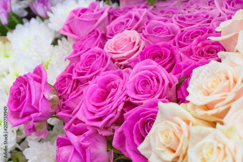 A row of bouquets of flowers: tea and pink roses, white chrysanthemums