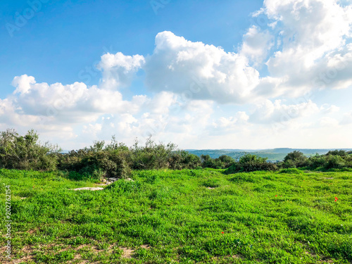 Aerial view of a green landscape in sunny day. Nature background