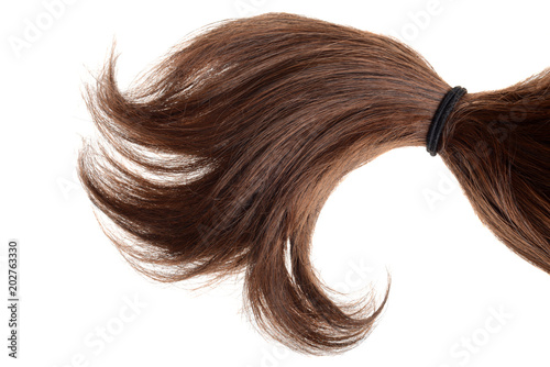 brunette hair in a ponytail isolated photo