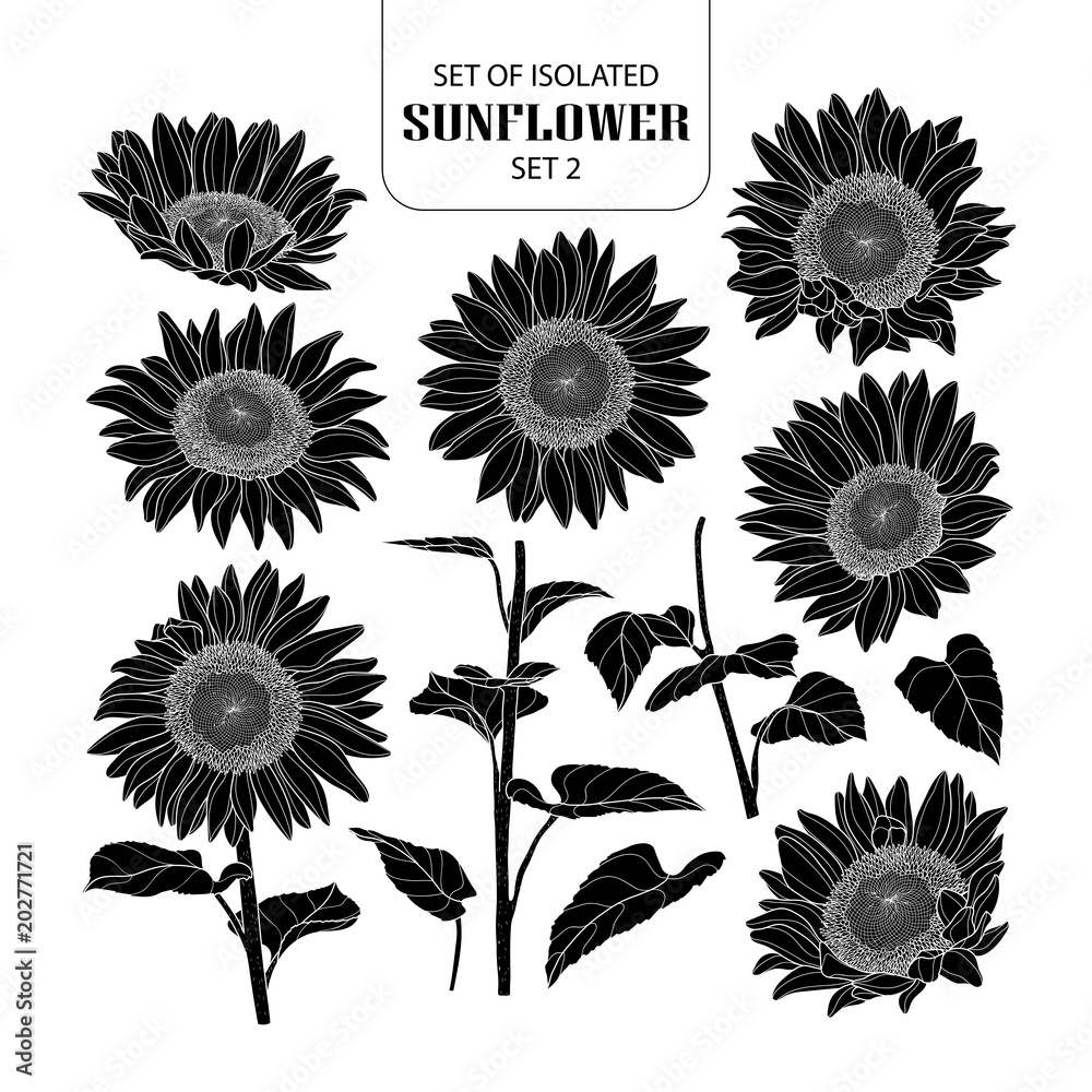 Set of isolated silhouette sunflower set 2.