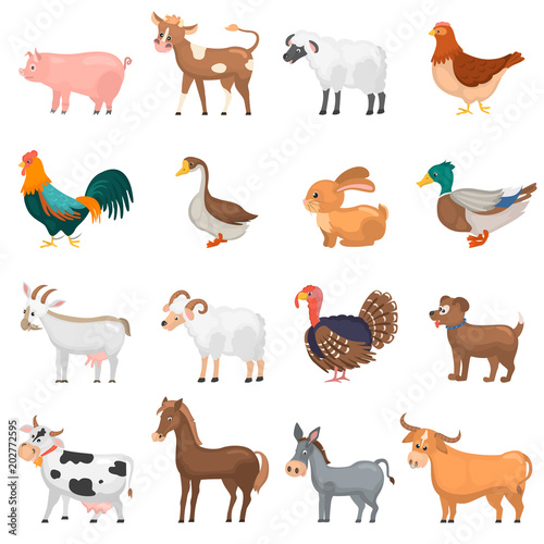 Agricultute animals color flat icons set