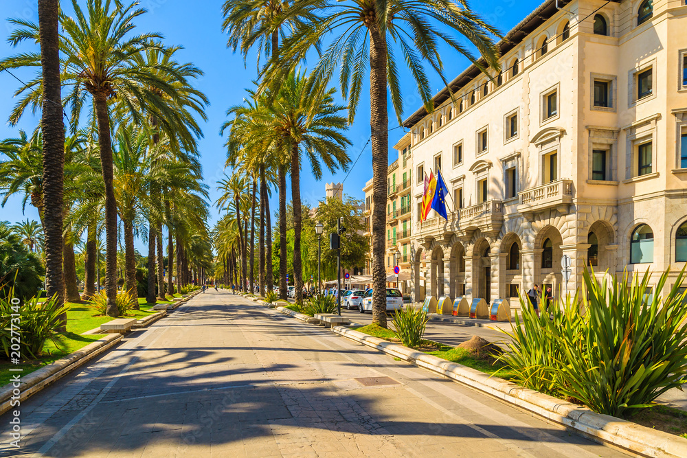 MAJORCA ISLAND, SPAIN - APR 13, 2013: Alley with palm trees and historic buildings in old town of Palma de Majorca, capital of the island, very popular tourist destination in Balearic Archipelago. MAJORCA ISLAND, SPAIN - APR 13, 2013: Alley with palm trees and historic buildings in old town of Palma de Majorca, capital of the island, very popular tourist destination in Balearic Archipelago.