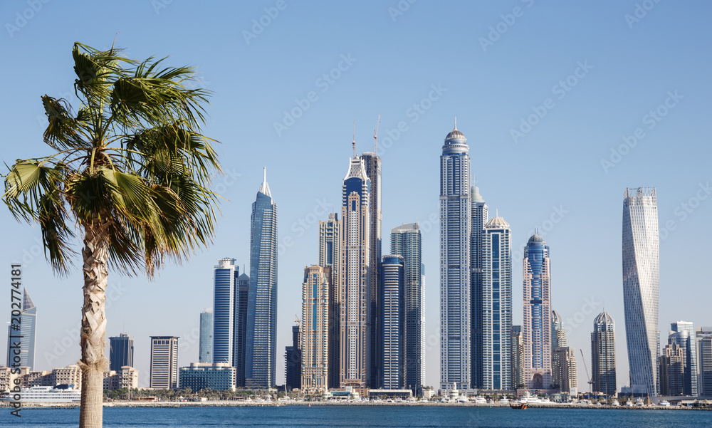 Naklejka premium Modern buildings in Dubai Marina UAE